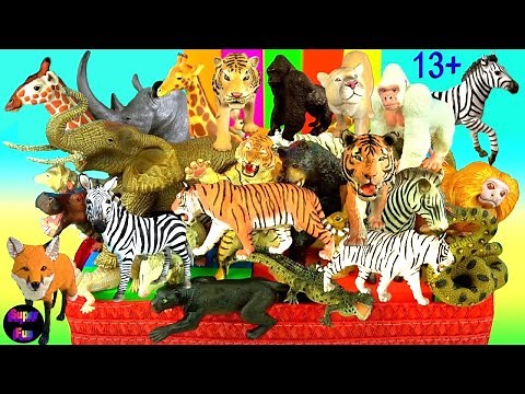 Animals - Lion Tiger Elephant Zebra Giraffe Hippo Rhino Crocodile Gorilla Bear Snake 13+