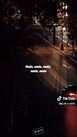 Pnl - À l’Ammoniaque: Découvrez cette chanson captivante