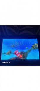 12 March 2026 finding nemo turtle scene