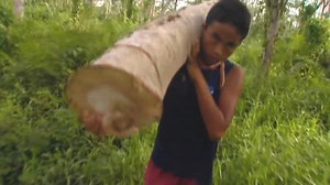 Poverty traps child labourers