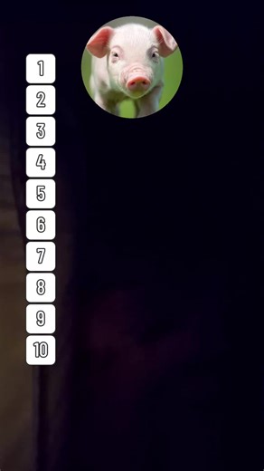 Marcus_Gooner (@9printer)’s videos with original sound - LankeyLukey