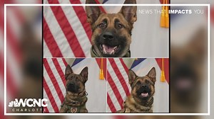 New K9 officers starting training soon for CMPD