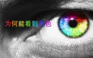 我们为什么能看到颜色？RGB CMYK又是什么？【爱来教程】