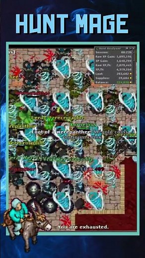 ⚡ 4.5KK XP/h no Tibia com Mage 300+! #tibia #tibiahunt #games