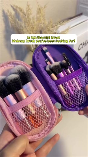 Compact Mini Brush Set for Travel