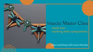 Insects Master Class: week two