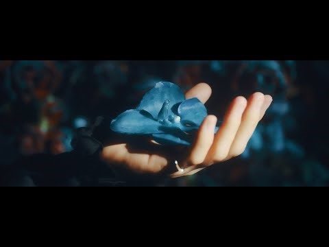 FLOWER FLOWER 『浄化』short ver.