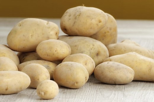 Origen de la patata o papa | Descubrimiento de la patata |