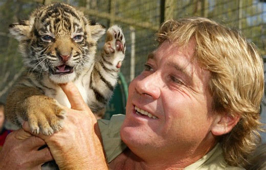 Terri Irwin reveals the 'only animal' that made Steve Irwin nervous