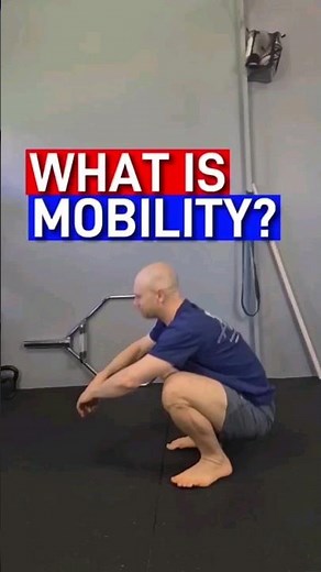 What is mobility?