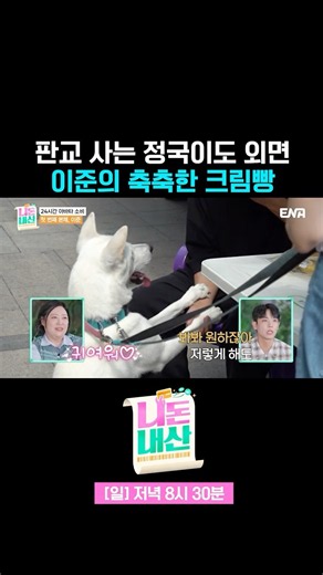 개한테 까인 이준 #니돈내산 1회 #쇼츠