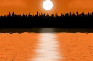 Photoshop Assignments