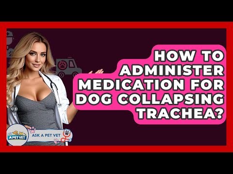 How To Administer Medication For Dog Collapsing Trachea? - Ask A Pet Vet