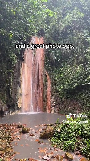 Chasing waterfalls in the St.lucia 📍 Diamond Falls Botanical Gardens & Mineral Bath. | Sweet St.lucia