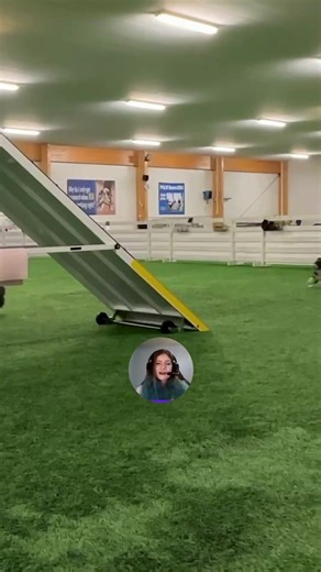 Struggling with stopped contacts that fall apart in trials? You’re not alone, and your dog isn’t being stubborn. This webinar focuses on: • stopped contact behaviour that holds up under pressure • maintaining criteria without micromanaging • seeing contacts from your dog’s perspective • building understanding instead of constant reminders The principles apply to all contact training, even if you later choose running contacts. Watch the full webinar recording now Link in bio → Webinars Or registe