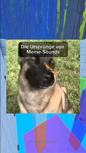 Die Ursprünge von Meme-Sounds (17)