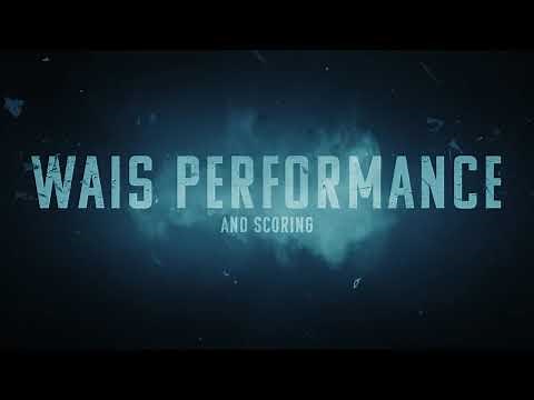 WAIS III Performance and Scoring (13.07)