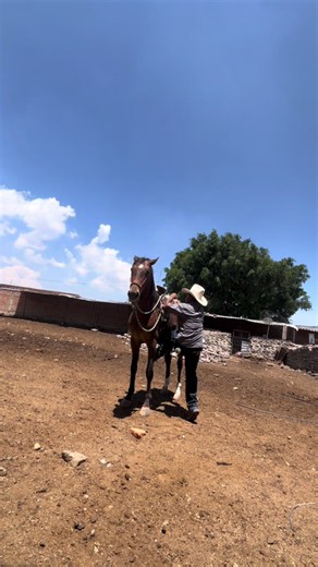Montando al Tamarindo por primera vez 🤠🐴 (Caballo desconfiado, casi me tumba!)