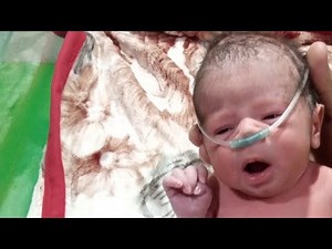 Everything About NICU Care: Health, Treatment & Daily Life”