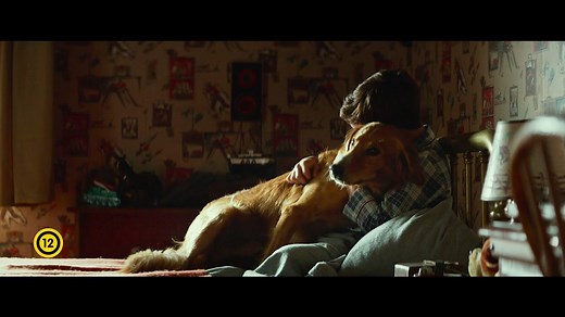 A világsikerű regény alapján készült EGY KUTYA NÉGY ÉLETE egy magával ragadó történet egy kedves ebről, aki több kutyaléten keresztül próbálja megtalálni élete célját. A Lasse Hallström (Csokoládé) rendezésében készült családi filmben a főszereplő kutyusok mellett Dennis Quaid és Britt Robertson is feltűnik. Az EGY KUTYA NÉGY ÉLETE a mozikban. | Freeman Film