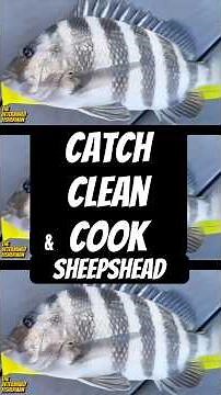 Catch Clean & Cook Sheepshead