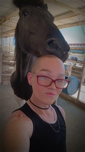 🤣🐴