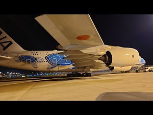 フライングホヌ1号機「ラニ」君 間近から