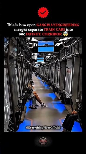 The Continuous Open Gangway System 🚋😱