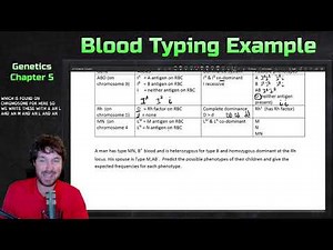 Blood Typing Example Cross for Co-Dominance and Rh Factor | Genetics