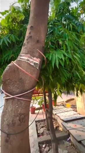 #funnycoments #memes #comedy#foryou