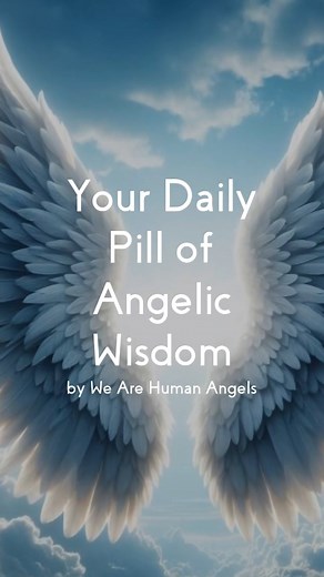 1K views · 14 reactions | We Are Human Angels on Reels | Facebook