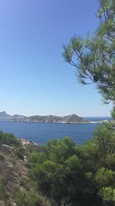 Vous êtes au bureau ? Loin de la Provence ? Ecoutez le chant des cigales et vous serez déjà un peu en vacances ⛱😎 | France 3 Provence-Alpes