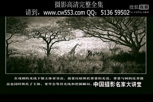 个人艺术照摄影 写真摄影技巧