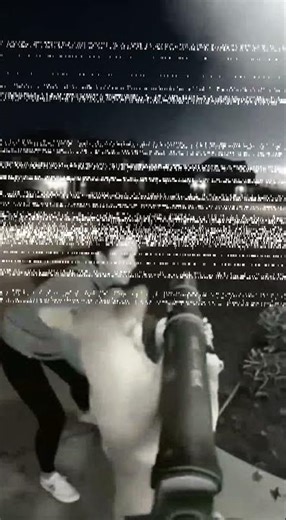 When AI Gives a Dog a Rocket Launcher... 💥🐶 | Sora 2 Animation