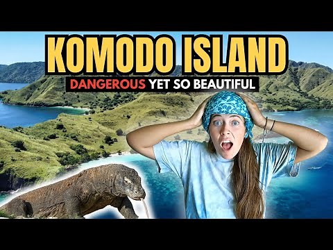 KOMODO ISLAND Indonesia - The MOST BEAUTIFUL Island in the WORLD 🇮🇩 (Pink Beach, Padar Island)