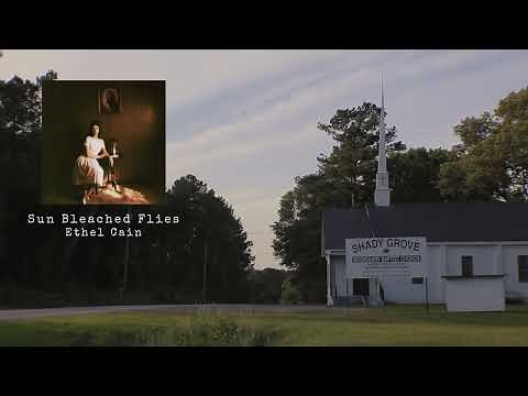 Sun Bleached Flies - Ethel Cain (Official Visualizer)