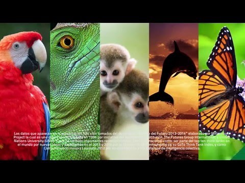 Los 15 desafíos globales de la humanidad