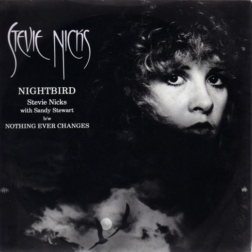 Stevie Nicks - Nightbird
