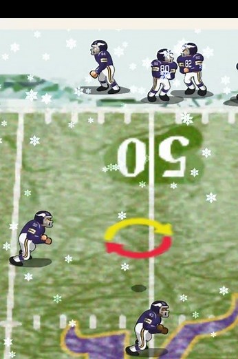 1975 Steelers vs Vikings