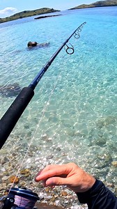 I hooked something huge!! | Cavy Fishing