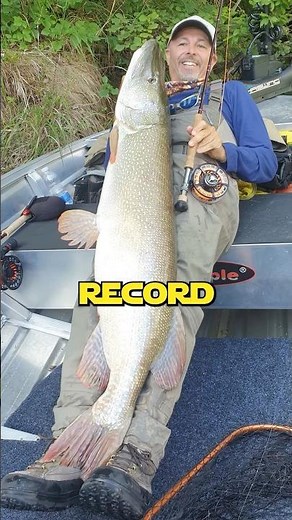 HE CAUGHT THE WORLD RECORD! #pikefishing #pike #flyfishing