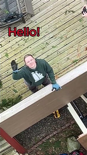 Partial tree removal video