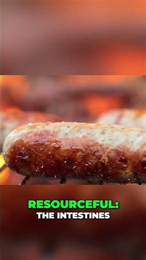 Sausage History: Ancient Food Fuels Human Evolution #shorts