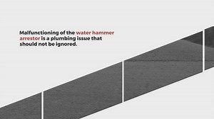 Why is my ginger beer bug not bubbling?