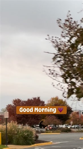 #goodmorning #goodvibes #morning #earlymorning #niceview #trees #leaves #colorful #coldweather #fall #fallvibes #fallvibes2025 #sky #nature #naturelovers #naturephotography #viral #viralvideo #trending #reels #trendingreels #reelsvideo #fbreels #foryou #followers #share | Ayesha’s creations