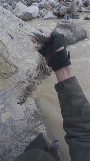 Catch More Trout with This Compact Net! 🎣✨ #fishing #shorts