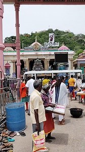 1.2M views · 53K reactions | Palani Murugan Temple.. #shortsfeed #shorts #reels #trend #murugan #palani #viral #travel #guide #temple #ttd #thirumalai #thirupathi | Salem Cooking Time | Facebook