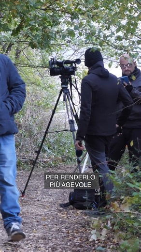 569K views · 10K reactions | A Palmoli, tra i campi coltivati a ulivo...