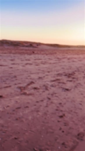 Video's van beatakeller232 (@beatakeller232) met my soul is free - dom & alisa