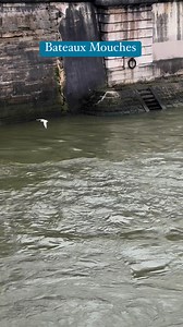 The Bateaux Mouches are iconic sightseeing boats in Paris, offering cruises along the Seine River. These boats provide a unique and picturesque way to experience the beauty of the city, passing by some of Paris’s most famous landmarks, such as the Eiffel Tower, Notre-Dame Cathedral, the Louvre, and the Musée d’Orsay.The cruises are typically accompanied by commentary, and there are options for simple sightseeing tours or more luxurious experiences, like dining cruises with gourmet meals and live